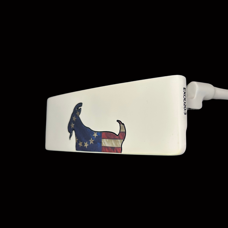 THE DECLARATION BLADE