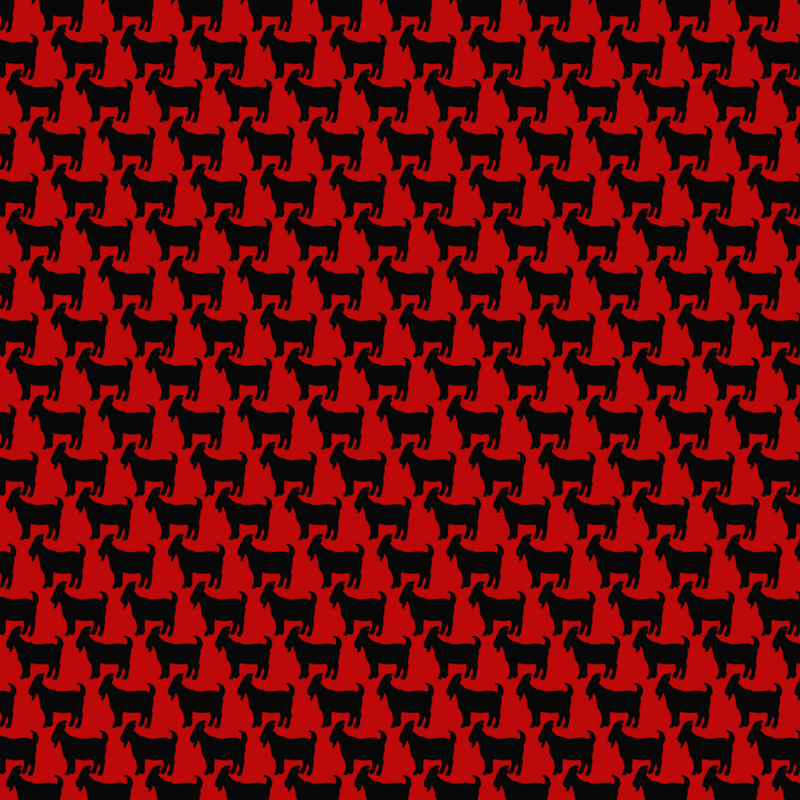 THE OG BRED POLO