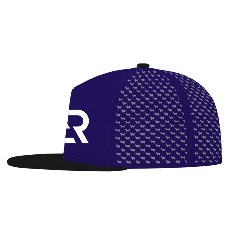 ED REED PURPLE/ BLACK HAT