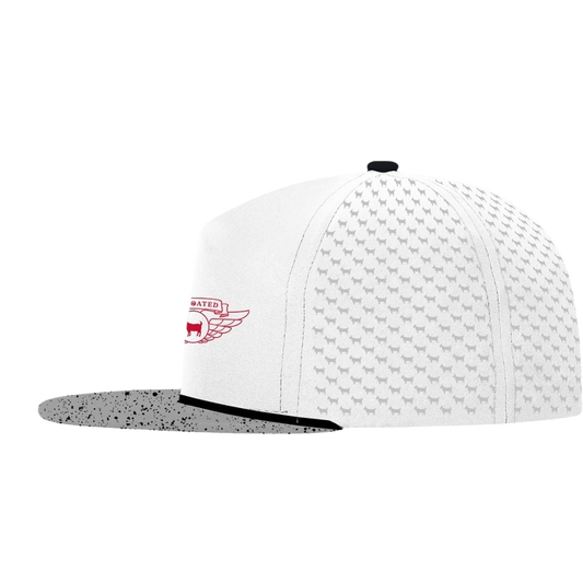 AIR GOATED 4 HAT (PRE-ORDER)