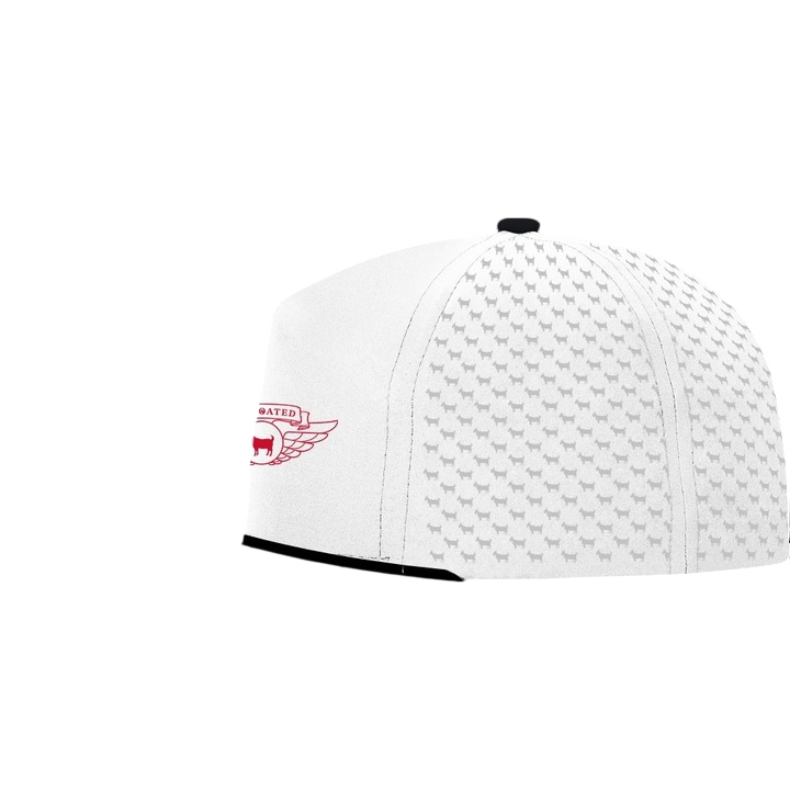 AIR GOATED 4 HAT
