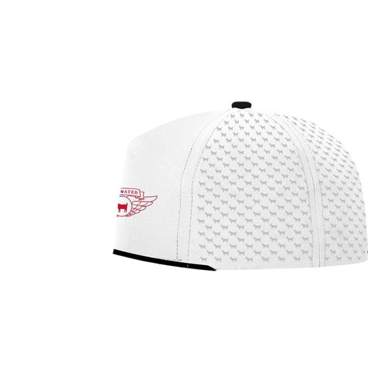 AIR GOATED 4 HAT