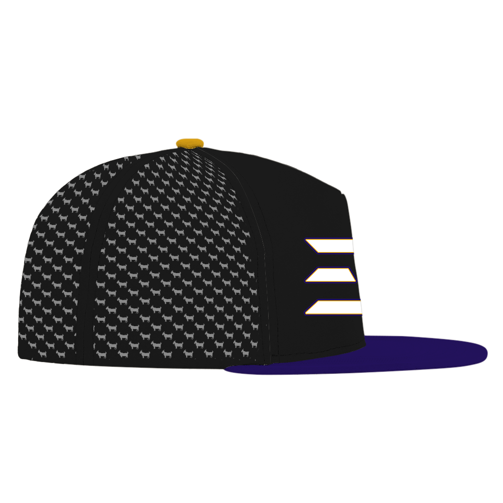 ED REED BLACK/ PURPLE HAT
