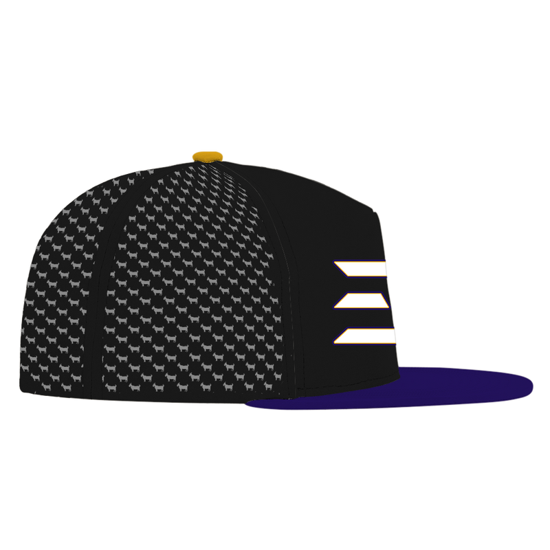ED REED BLACK/ PURPLE HAT