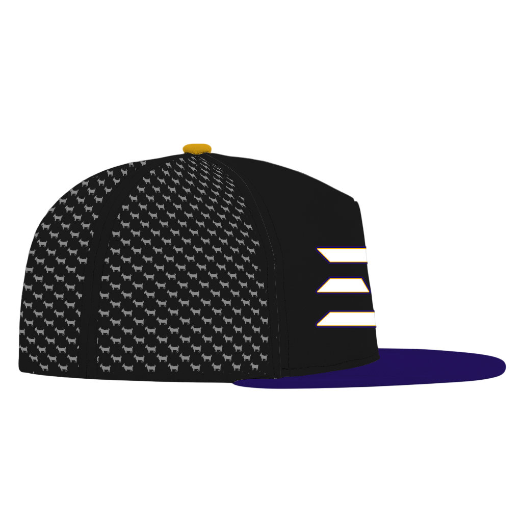 ED REED BLACK/ PURPLE HAT