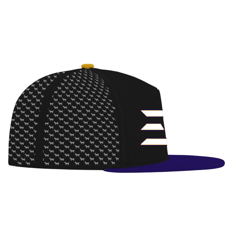 ED REED BLACK/ PURPLE HAT