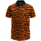 THE BIG CAT