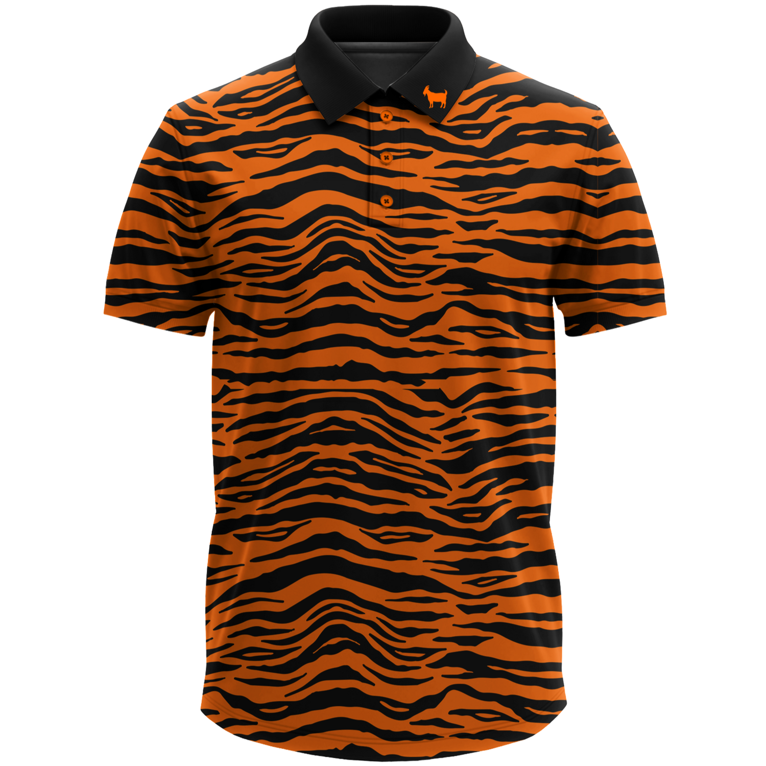 THE BIG CAT
