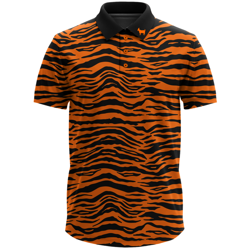 THE BIG CAT