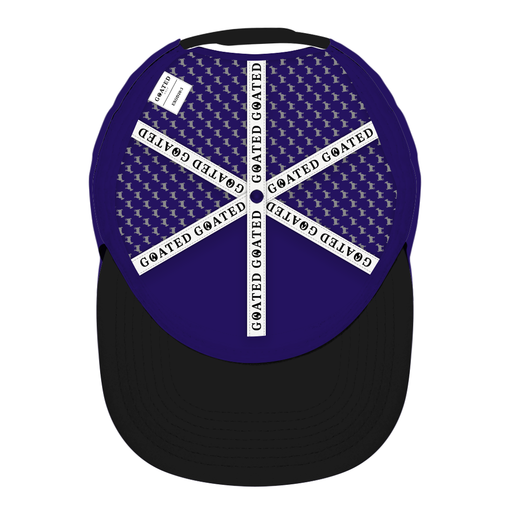 ED REED PURPLE/ BLACK HAT