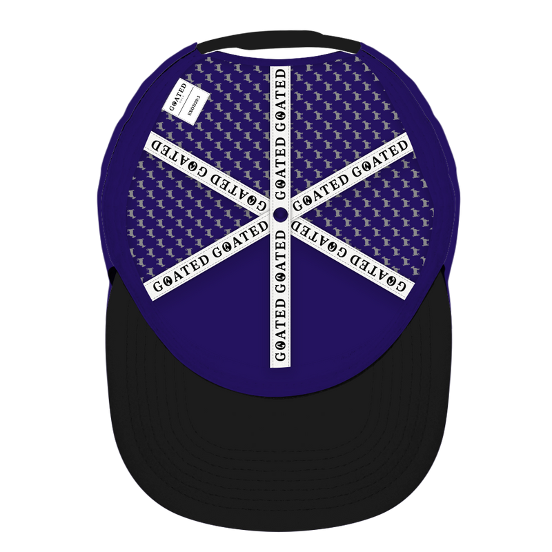 ED REED PURPLE/ BLACK HAT