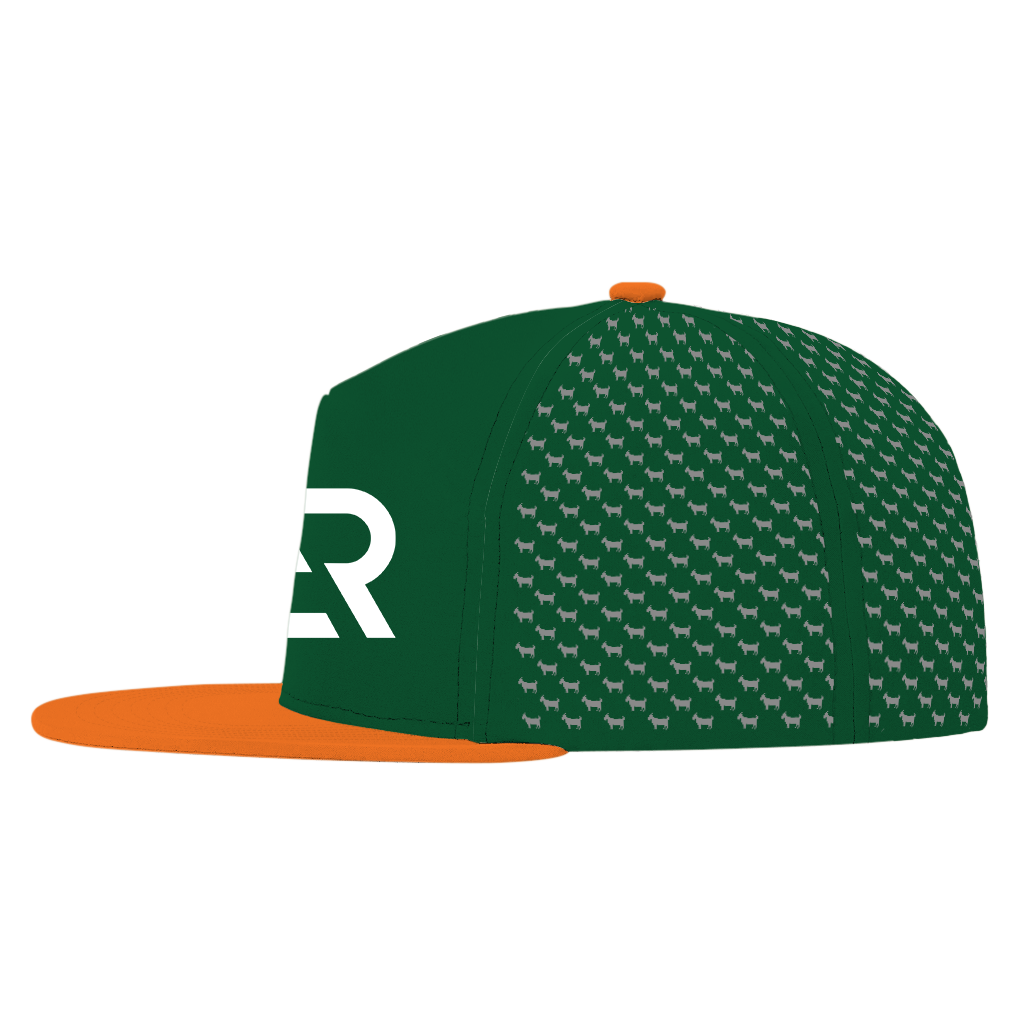 ED REED UM HAT