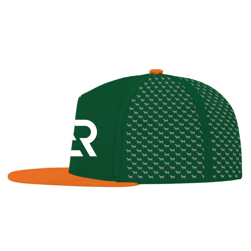 ED REED UM HAT