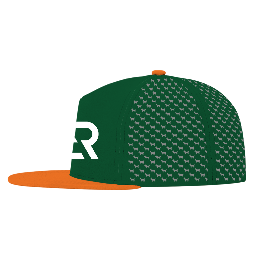 ED REED UM HAT