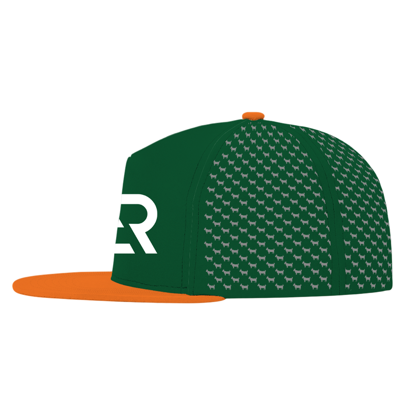 ED REED UM HAT