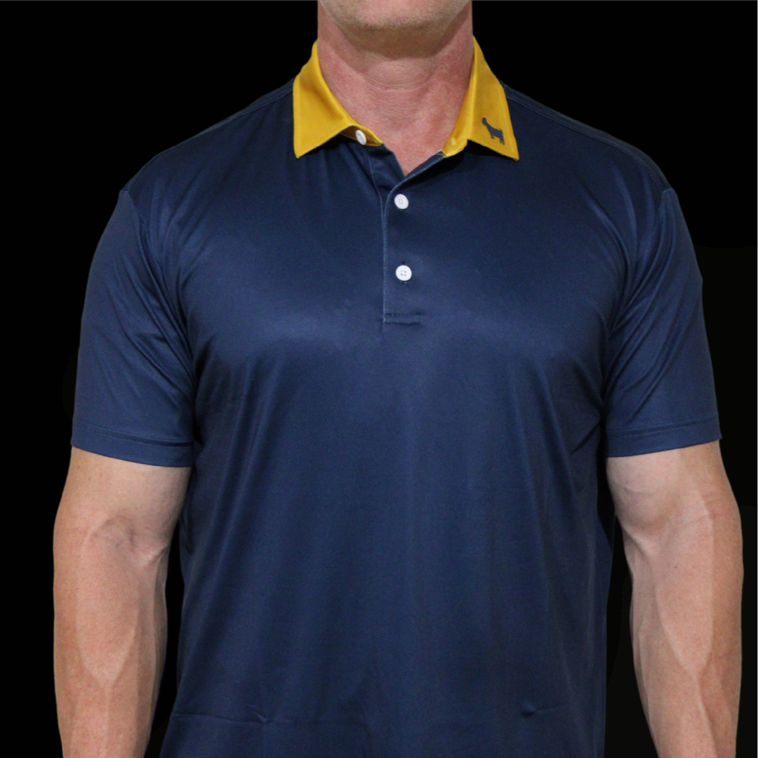 THE NAVY/GOLD POLO