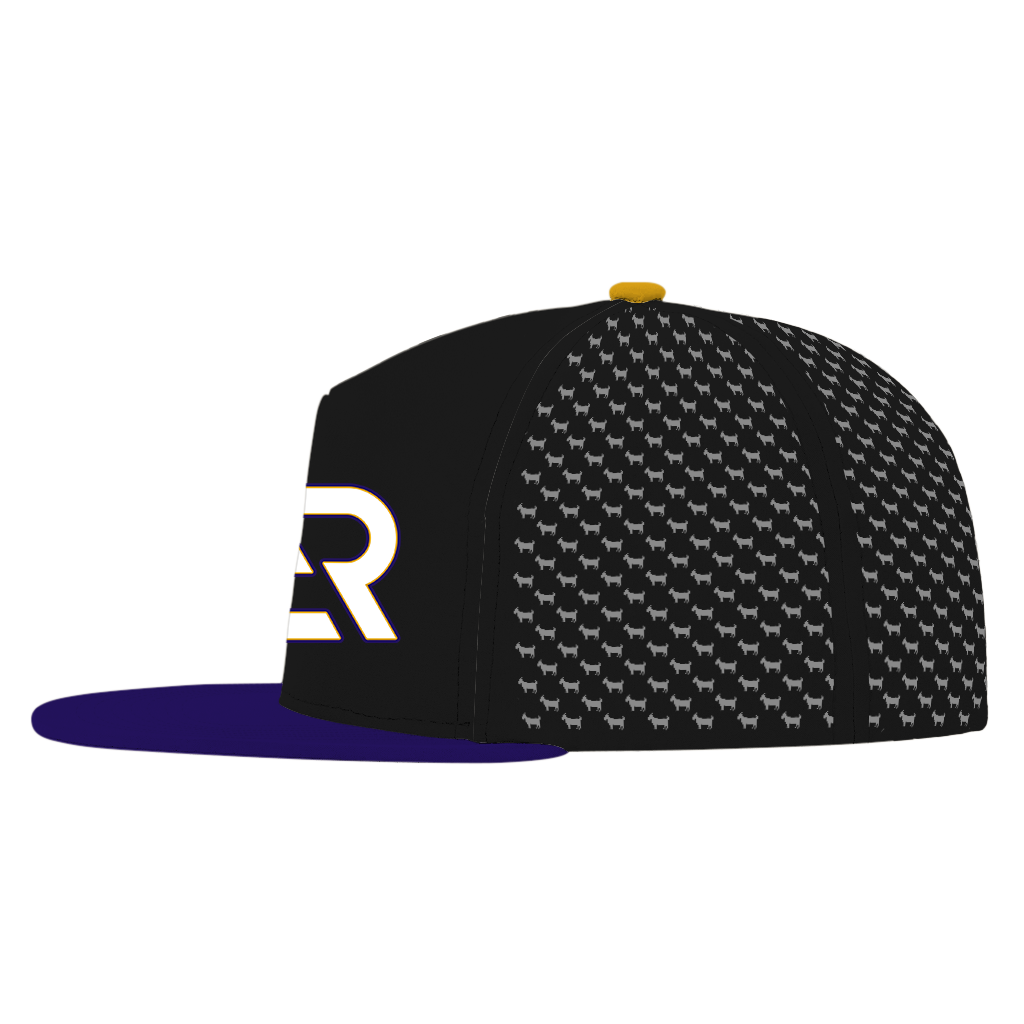ED REED BLACK/ PURPLE HAT