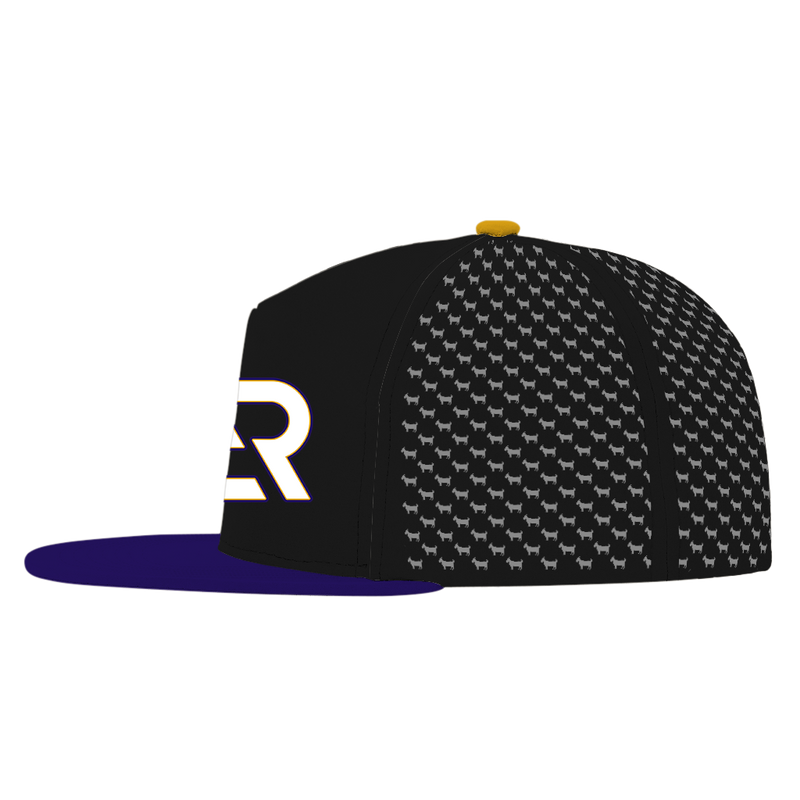 ED REED BLACK/ PURPLE HAT
