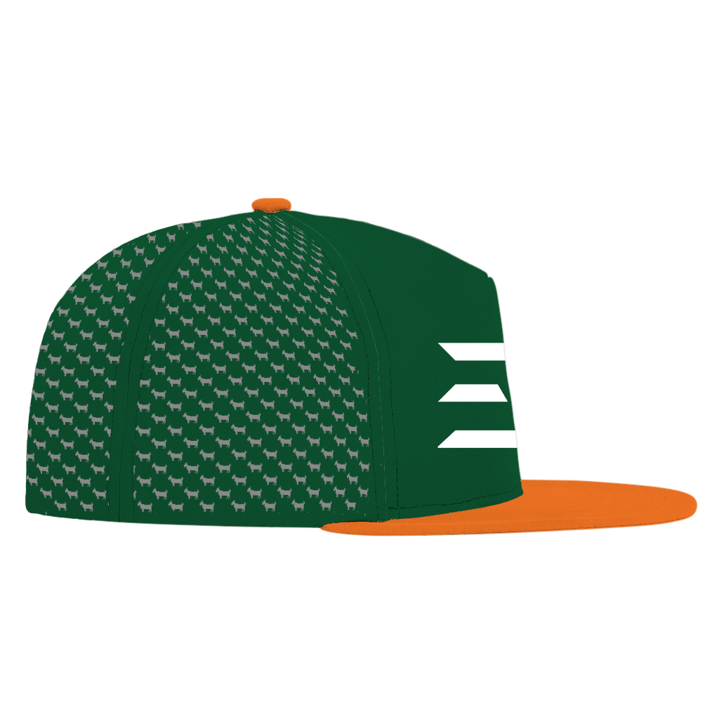 ED REED UM HAT