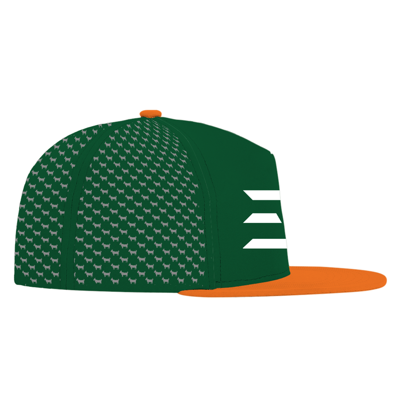 ED REED UM HAT