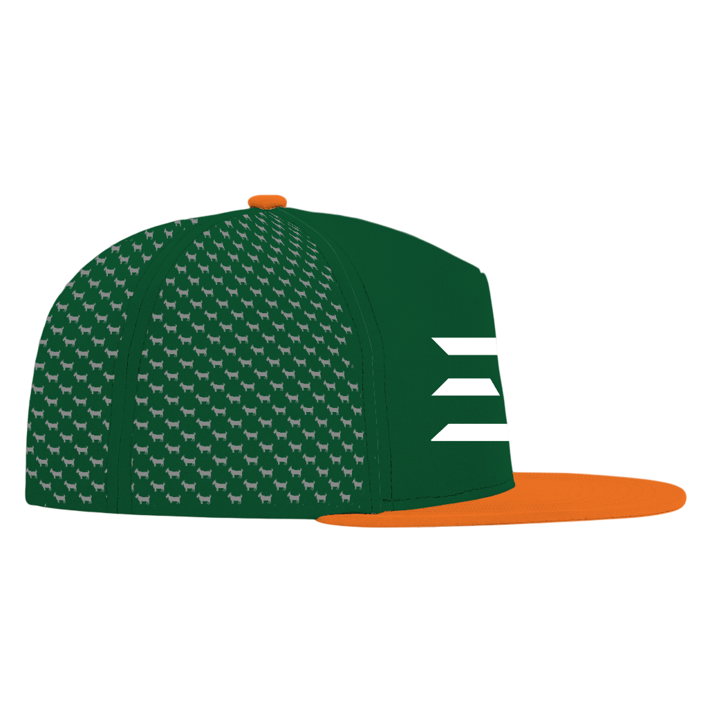 ED REED UM HAT