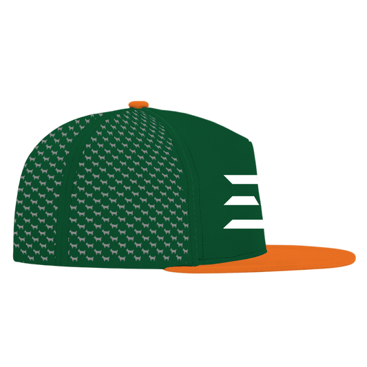 ED REED UM HAT