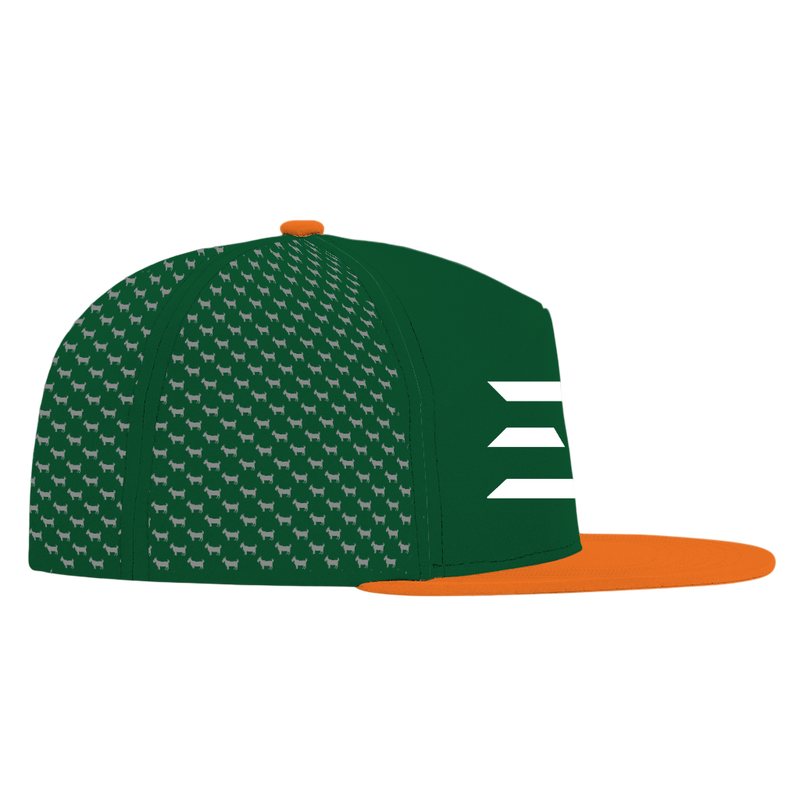 ED REED UM HAT