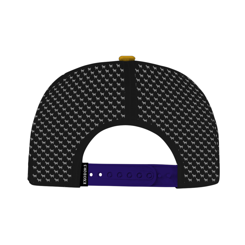 ED REED BLACK/ PURPLE HAT