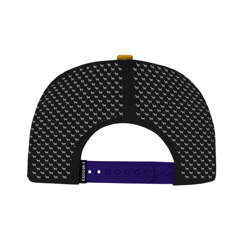 ED REED BLACK/ PURPLE HAT