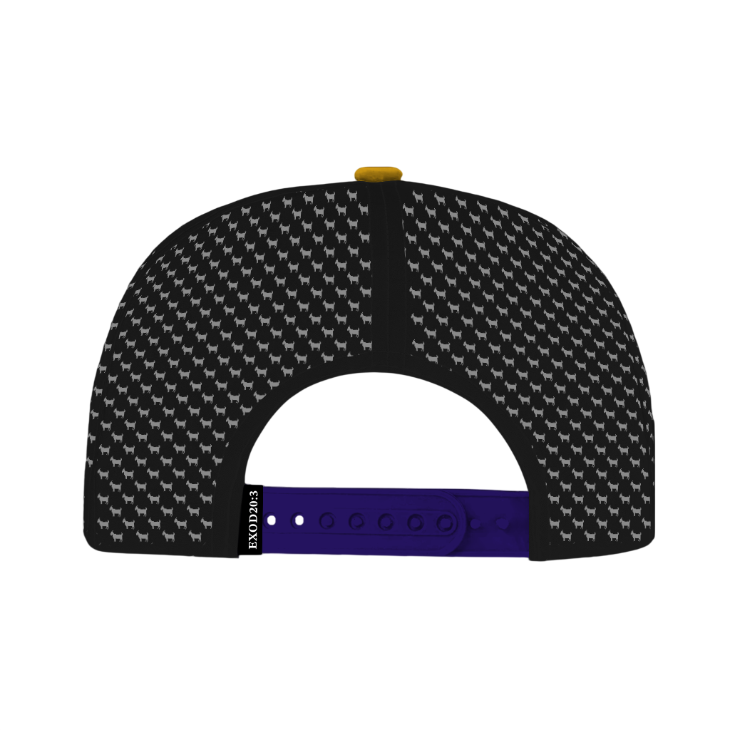 ED REED BLACK/ PURPLE HAT