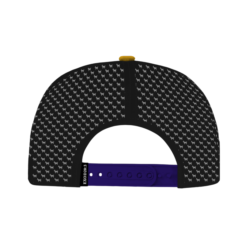 ED REED BLACK/ PURPLE HAT
