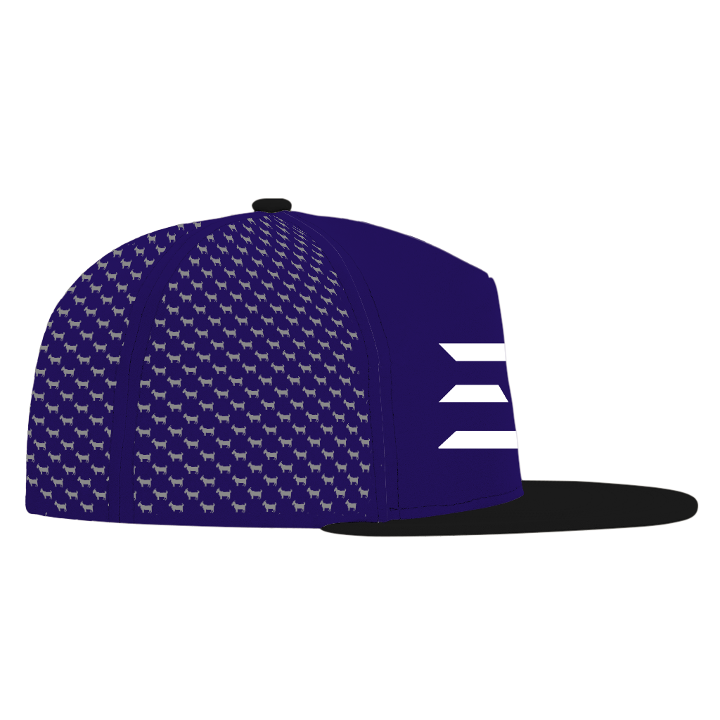 ED REED PURPLE/ BLACK HAT