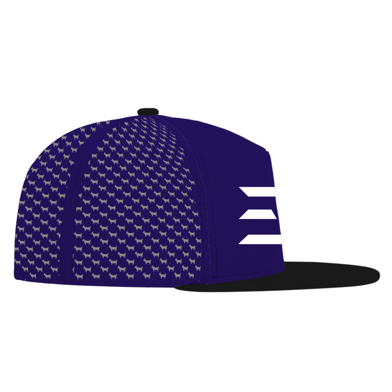 ED REED PURPLE/ BLACK HAT