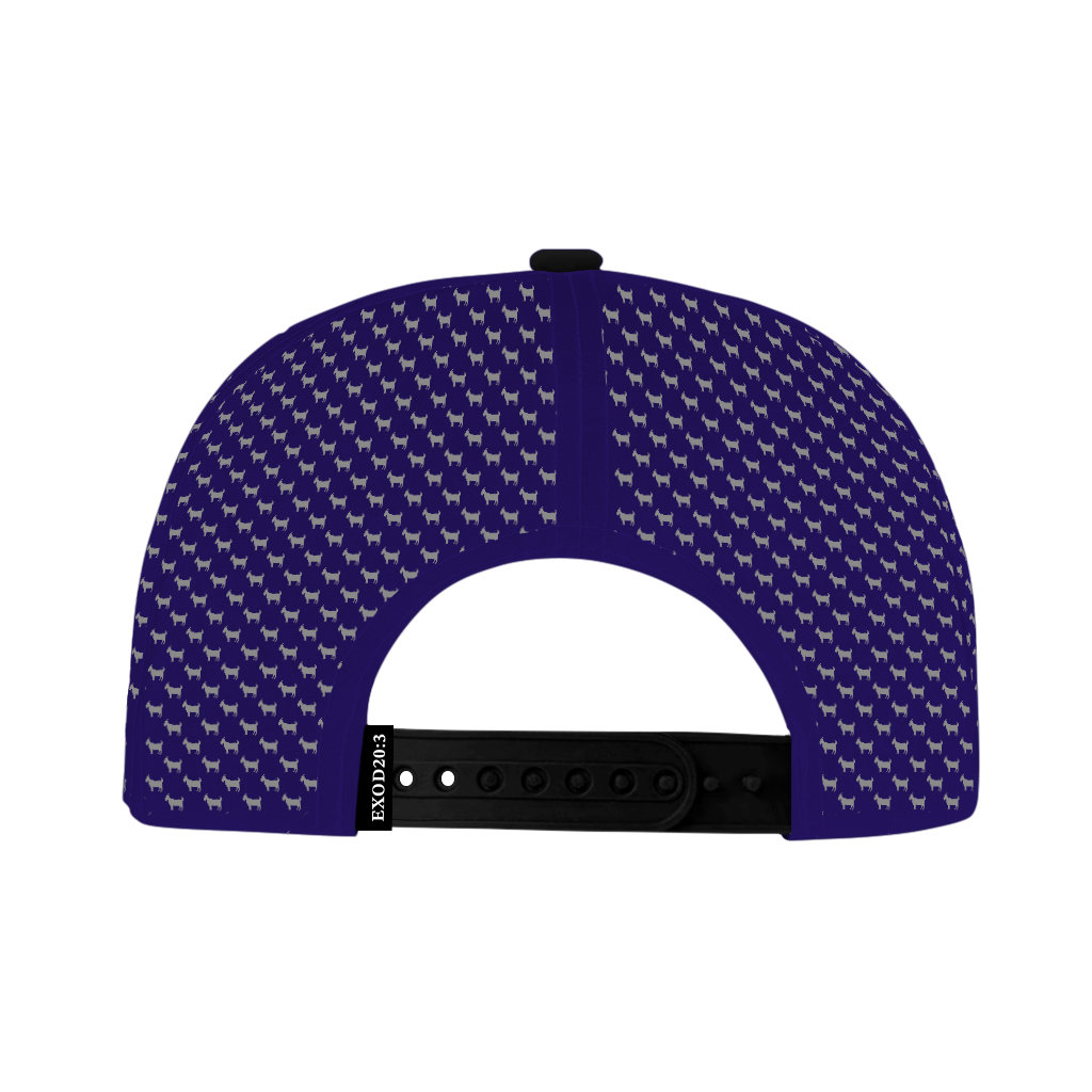 ED REED PURPLE/ BLACK HAT