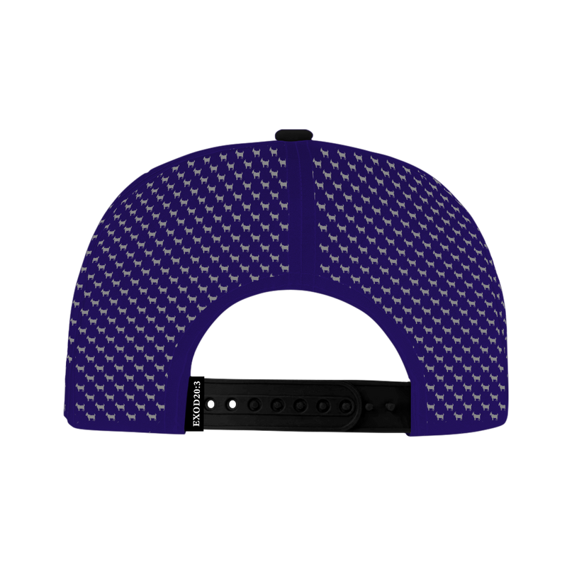 ED REED PURPLE/ BLACK HAT