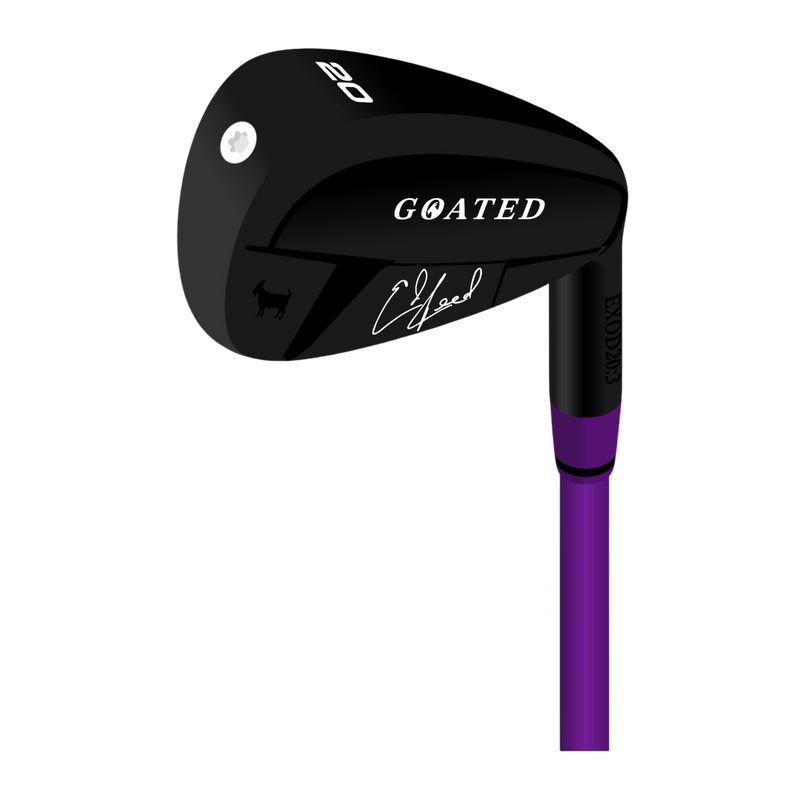 ED REED 3 IRON