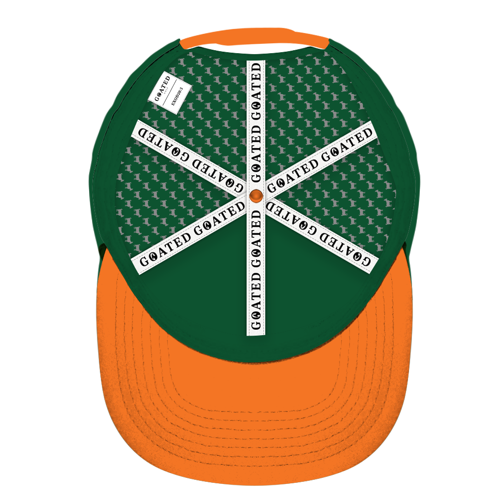 ED REED UM HAT
