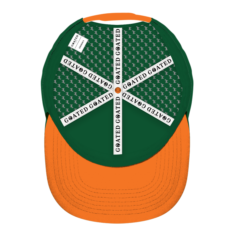 ED REED UM HAT