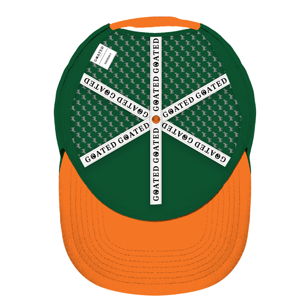 ED REED UM HAT