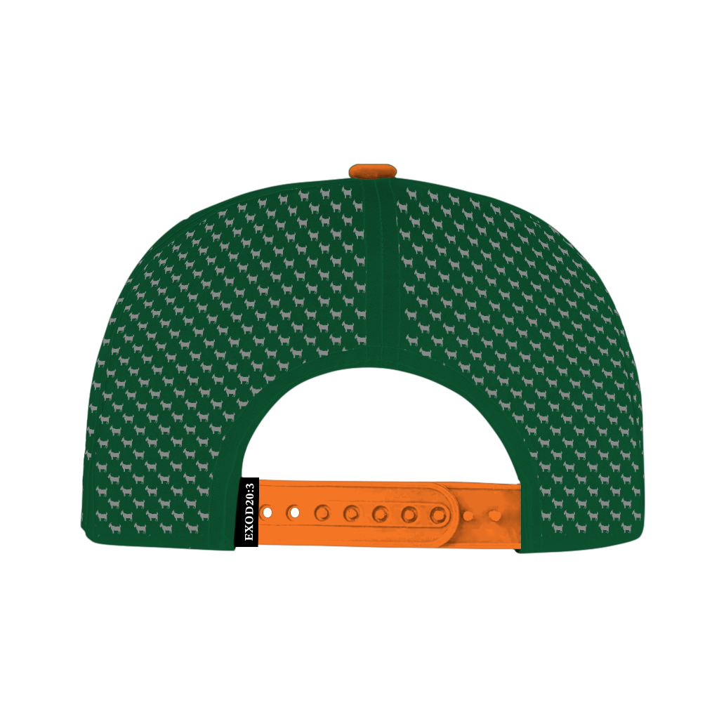 ED REED UM HAT