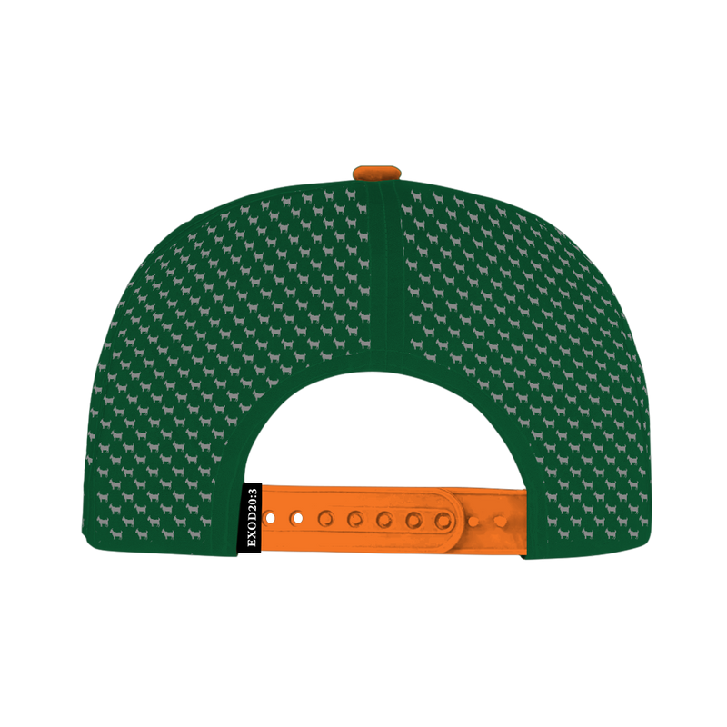 ED REED UM HAT