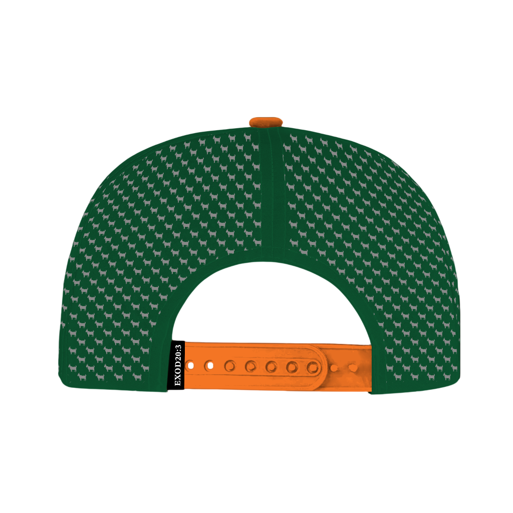 ED REED UM HAT