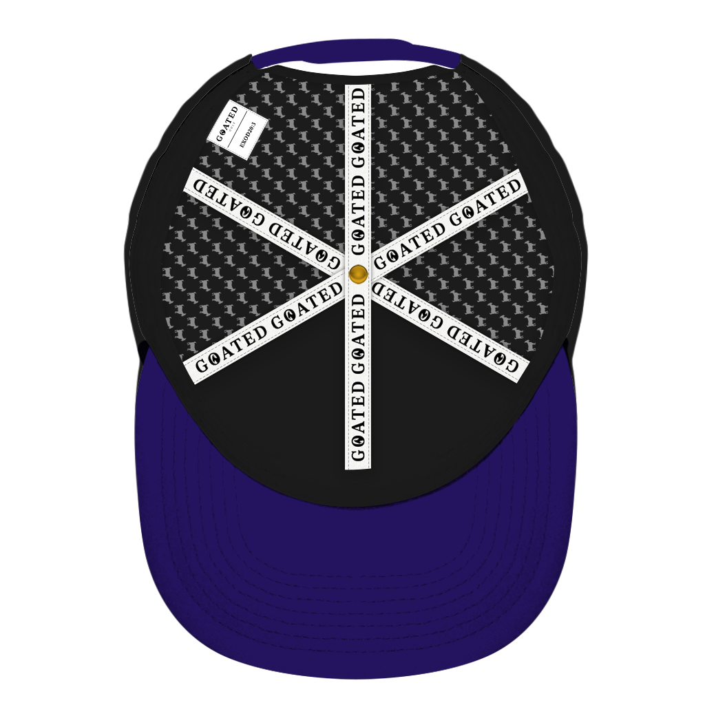 ED REED BLACK/ PURPLE HAT