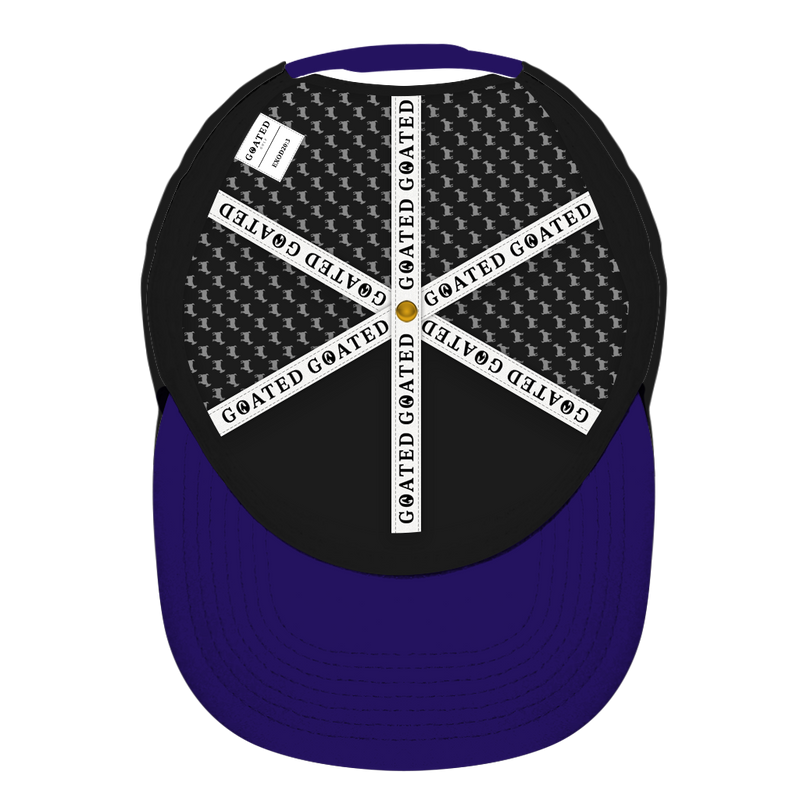 ED REED BLACK/ PURPLE HAT