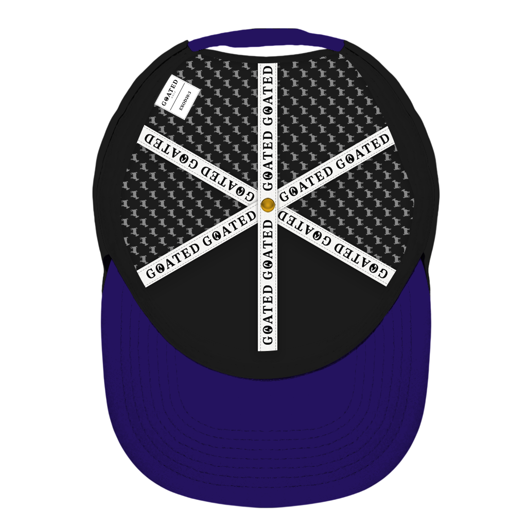 ED REED BLACK/ PURPLE HAT