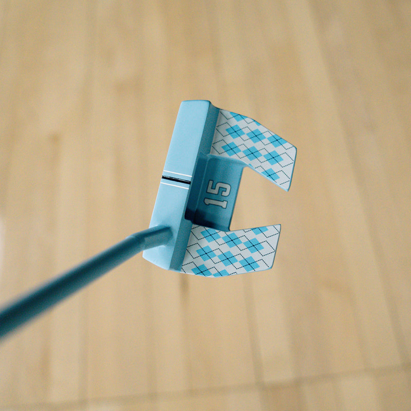 THE VINSANITY MALLET PUTTER