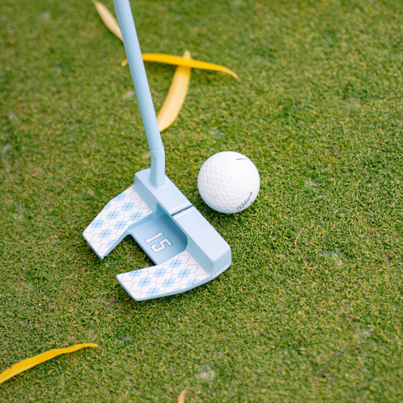 THE VINSANITY MALLET PUTTER