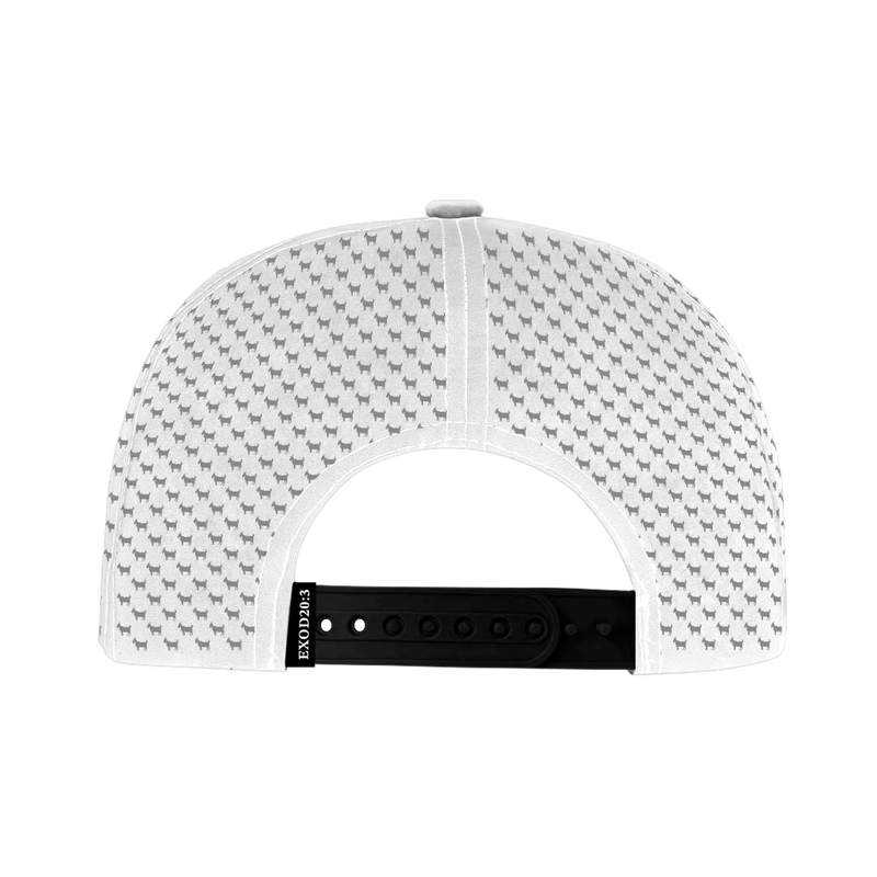 ED REED BLACK/ WHITE HAT
