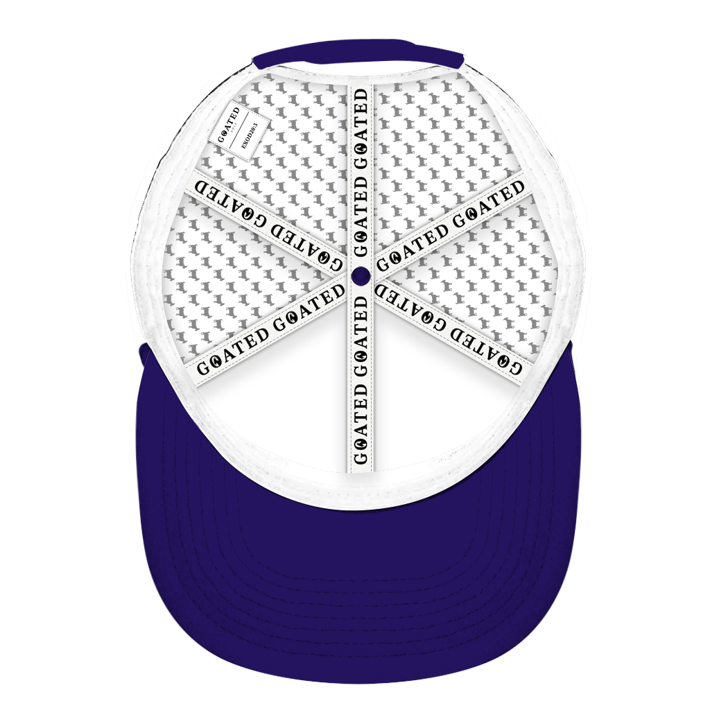 ED REED WHITE/ PURPLE HAT