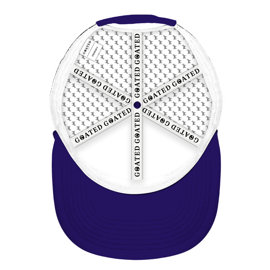 ED REED WHITE/ PURPLE HAT